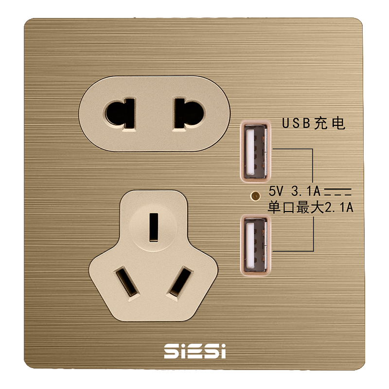 10A二三极插座带双USB-V6富贵金-南宫体育照明官网