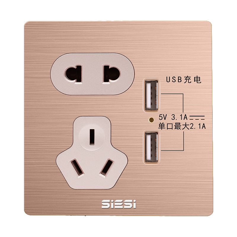 10A二三极插座带双USB-V6玫瑰金-南宫体育照明官网
